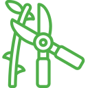 przycinanie drzew Gliwice