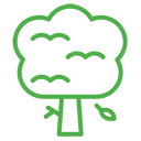 wycinka drzew krzewów Gliwice